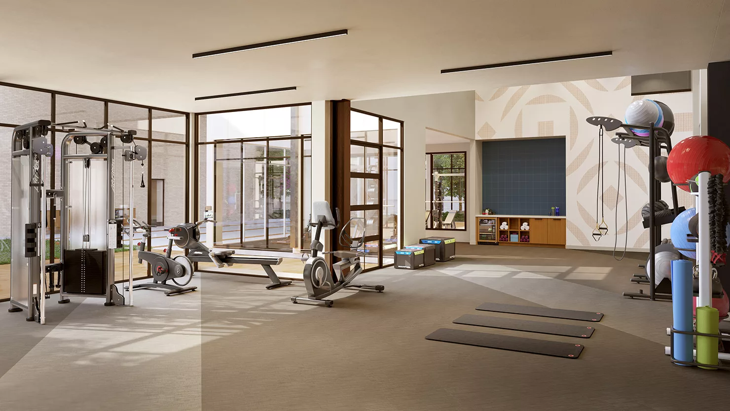 Ferro Gym